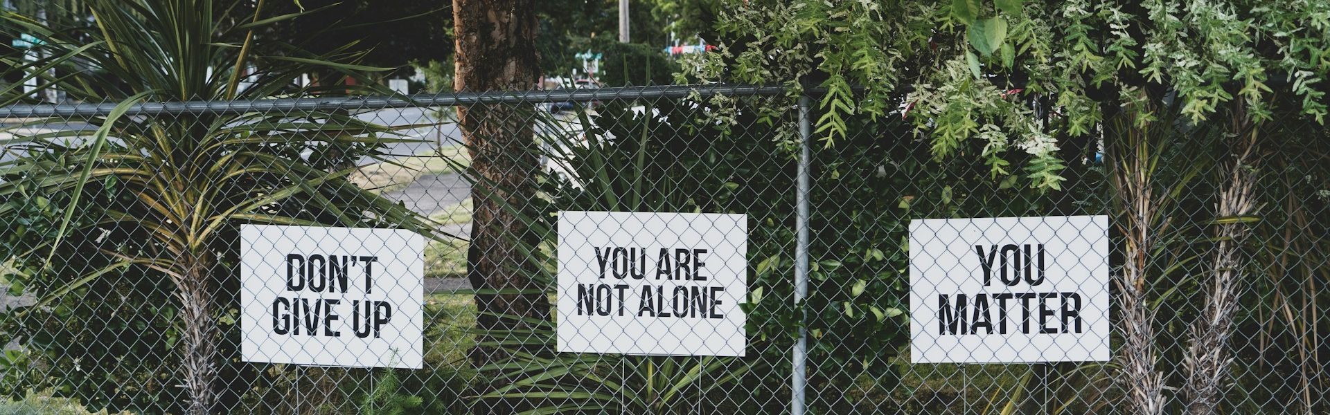 dan-meyers-hluOJZjLVXc-unsplash